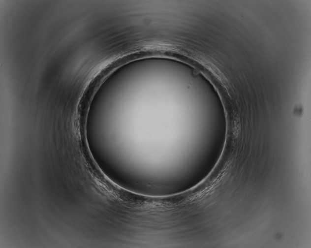 X0000100871022200806201235