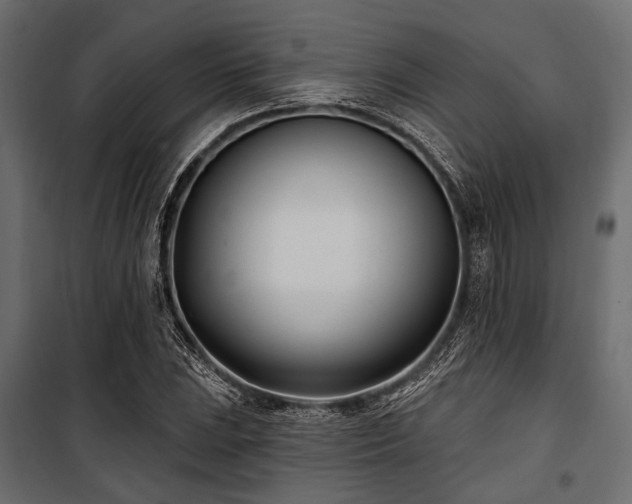 X0000100871023200806201235