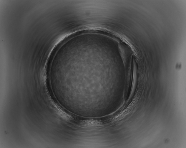 X0000100871024200806201235