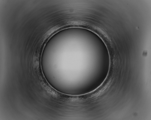 X0000100871025200806201235