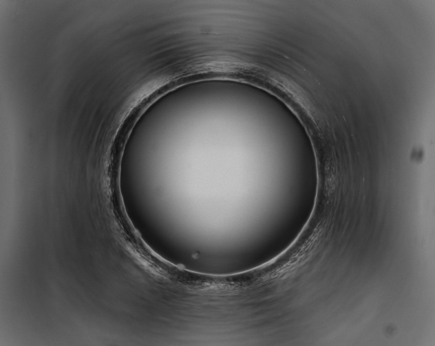 X0000100871026200806201235