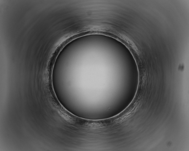 X0000100871027200806201235
