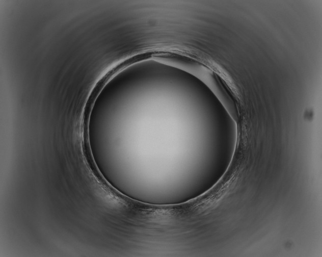 X0000100871028200806201235