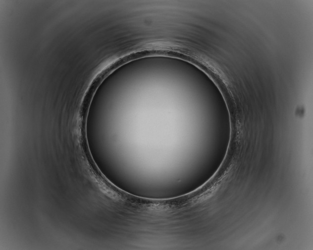 X0000100871029200806201235