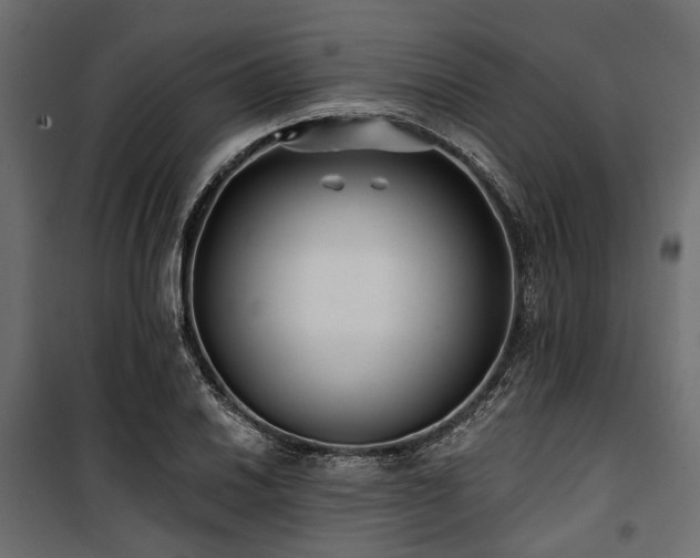 X0000100871030200806201235