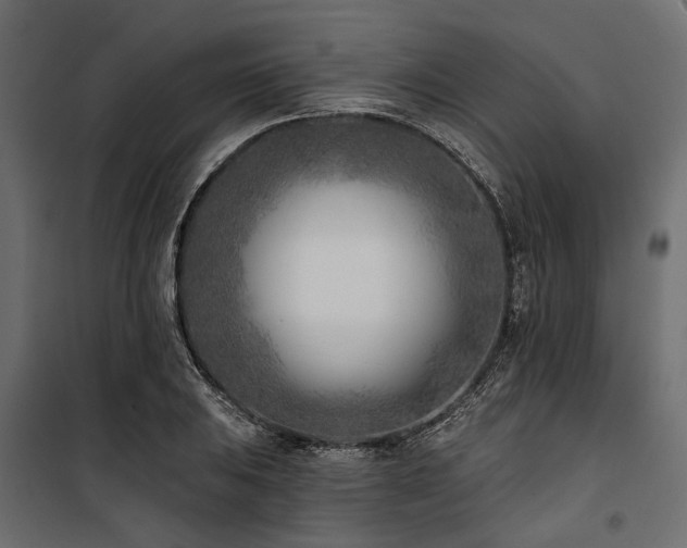 X0000100871031200806201235