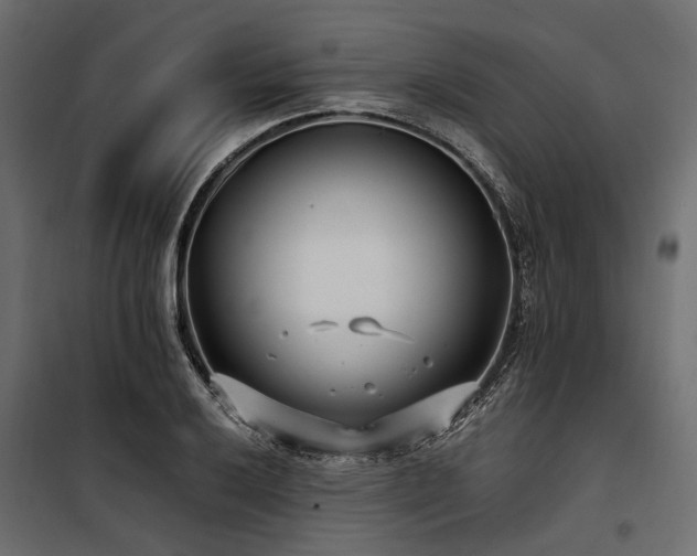 X0000100871032200806201235