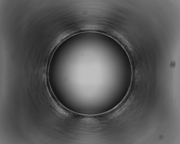 X0000100871033200806201235