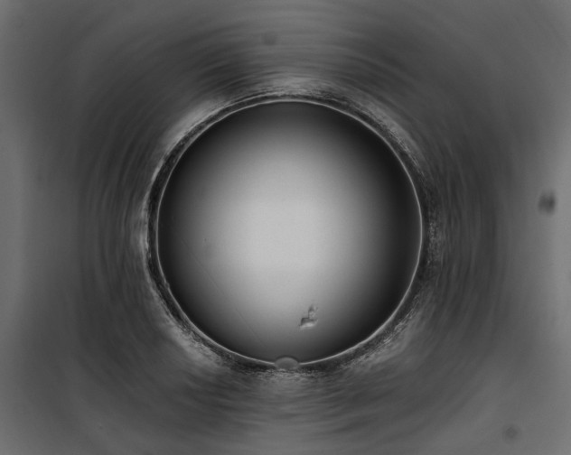 X0000100871034200806201235