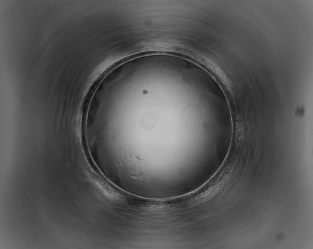 X0000100871035200806201235