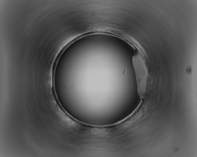 X0000100871036200806201235