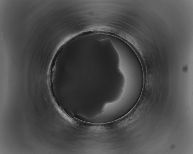 X0000100871037200806201235