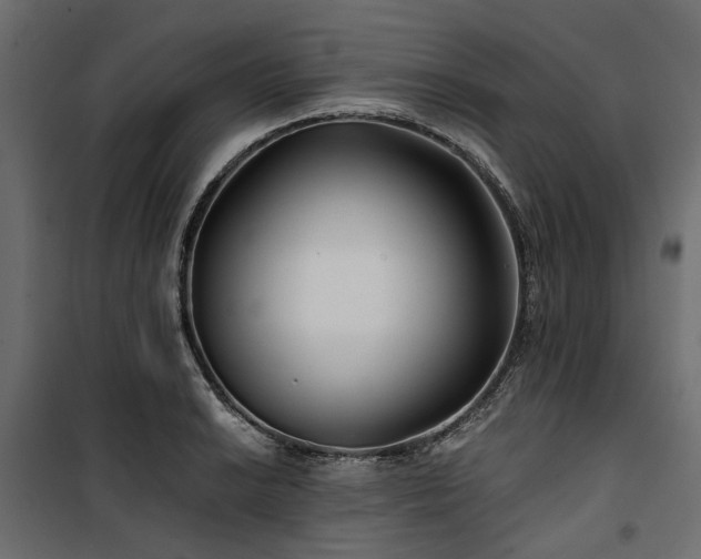 X0000100871038200806201235