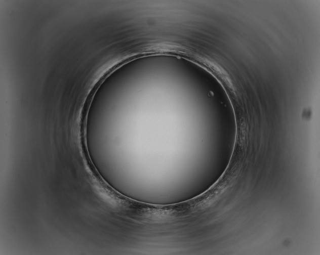 X0000100871039200806201236