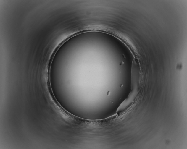 X0000100871040200806201236