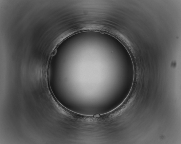 X0000100871041200806201236