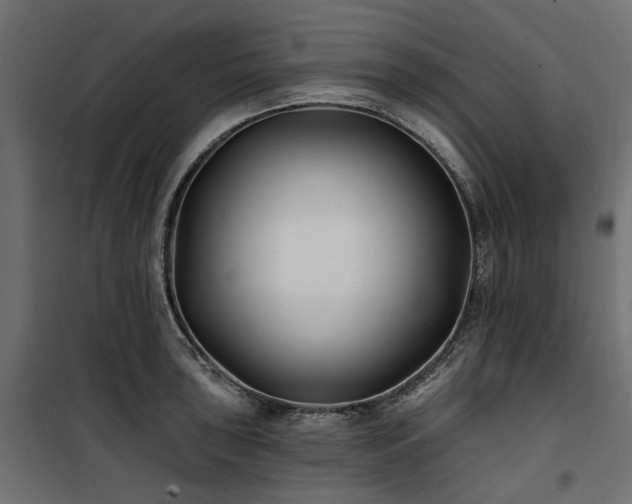 X0000100871043200806201236