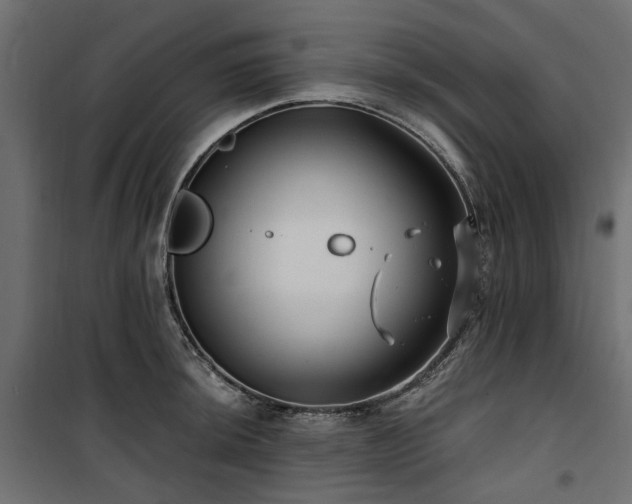 X0000100871044200806201236