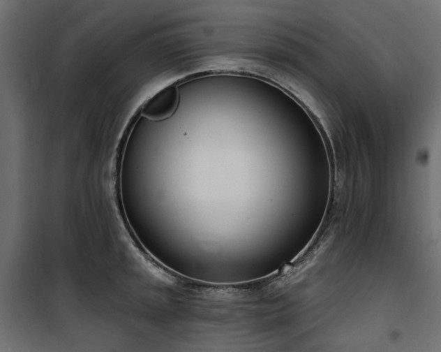 X0000100871045200806201236