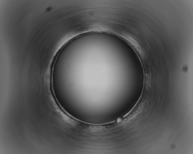 X0000100871046200806201236