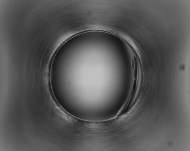 X0000100871048200806201236