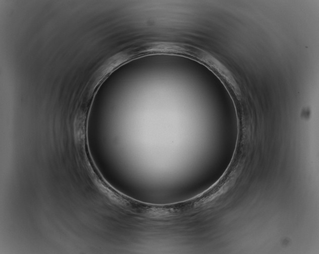 X0000100871049200806201236