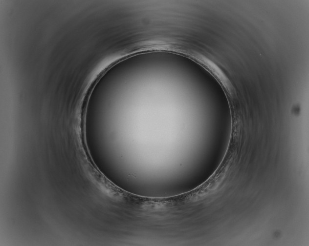 X0000100871051200806201236