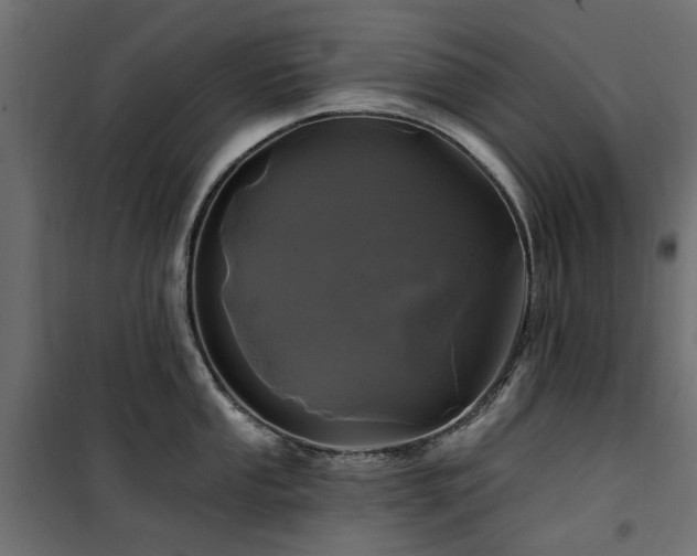 X0000100871053200806201236