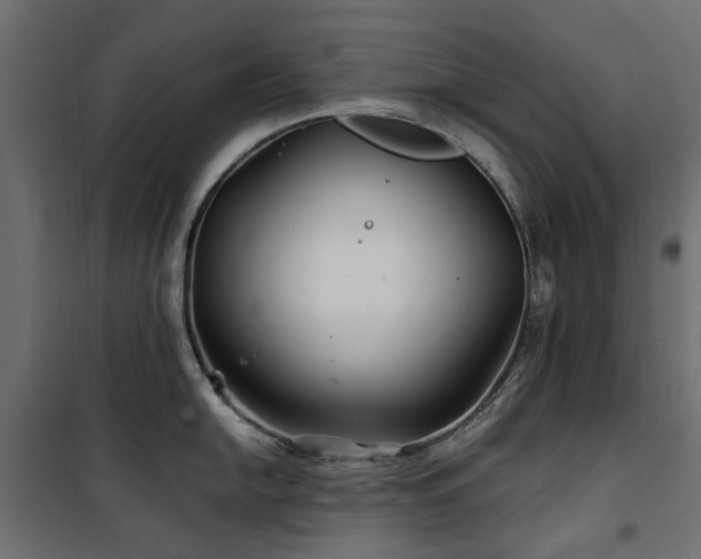 X0000100871054200806201236