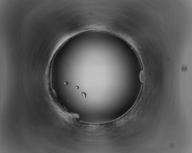 X0000100871056200806201236