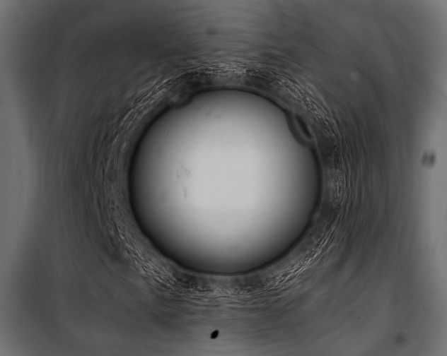 X0000100871057200806201235
