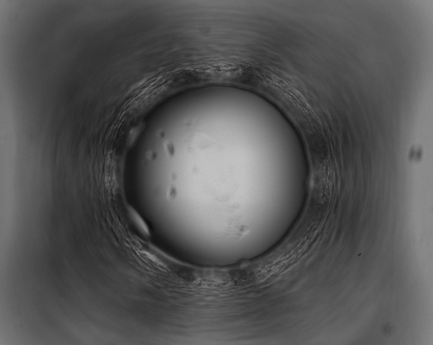 X0000100871058200806201235