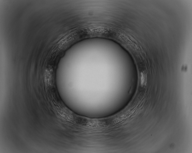 X0000100871059200806201235
