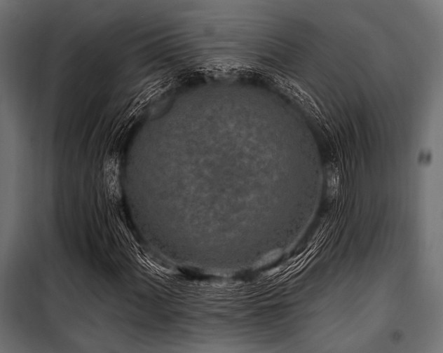 X0000100871060200806201235