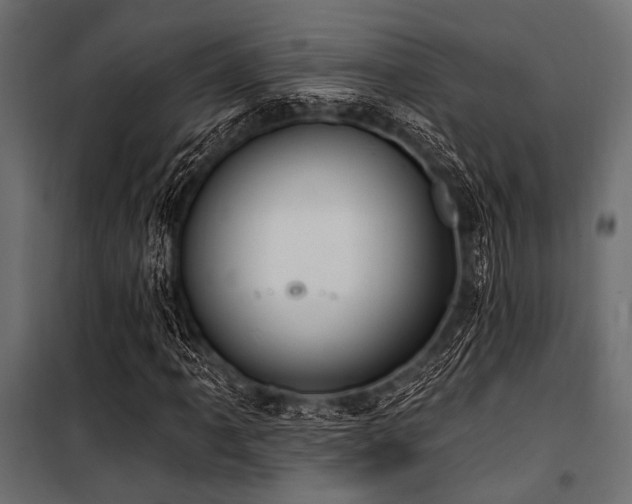 X0000100871061200806201235
