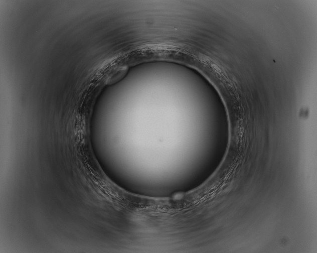 X0000100871062200806201235