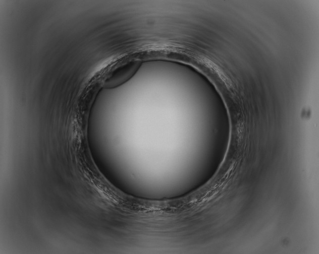 X0000100871064200806201235