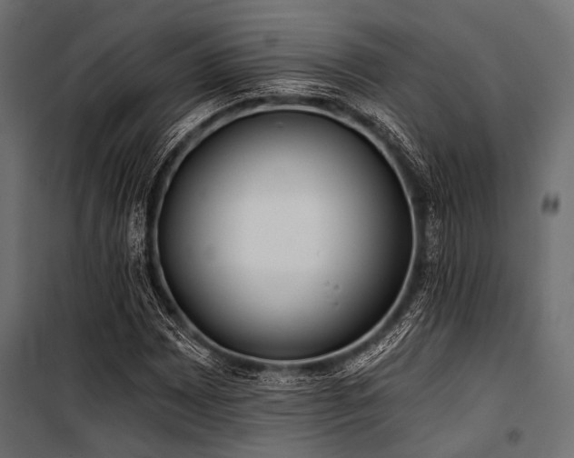 X0000100871065200806201235