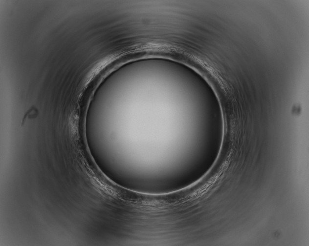 X0000100871066200806201235