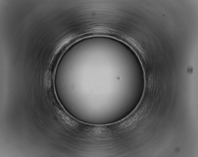 X0000100871067200806201235