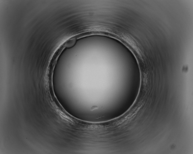 X0000100871068200806201235