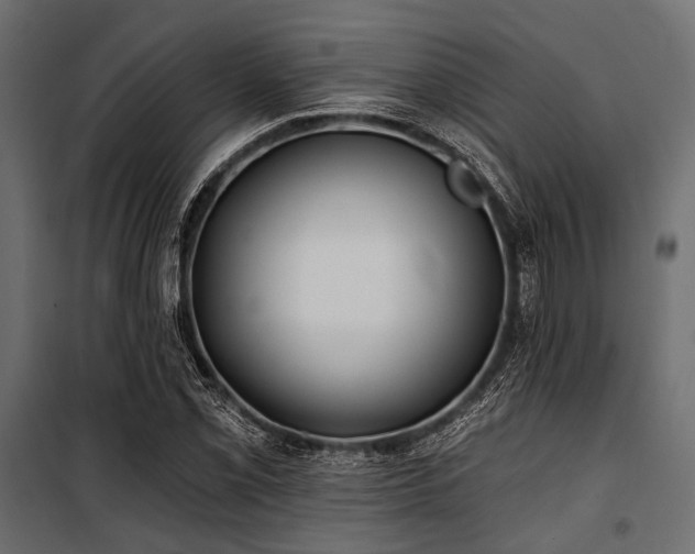 X0000100871069200806201235