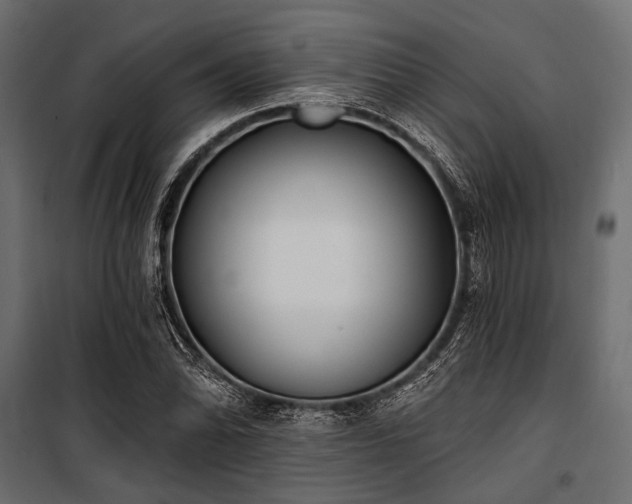X0000100871070200806201235