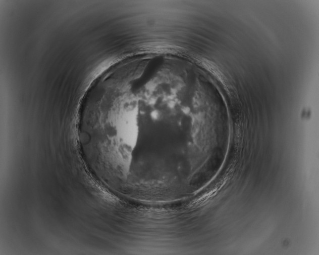 X0000100871071200806201235
