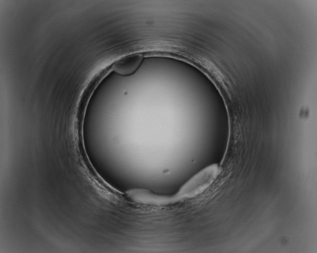 X0000100871072200806201235