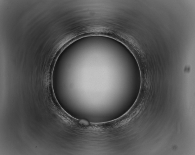 X0000100871073200806201235