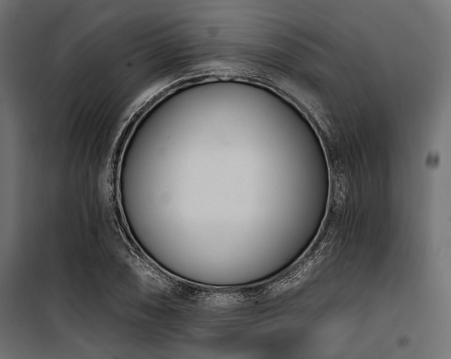 X0000100871074200806201235