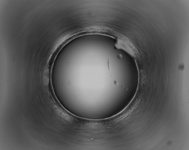 X0000100871075200806201235