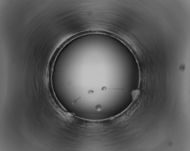X0000100871076200806201235