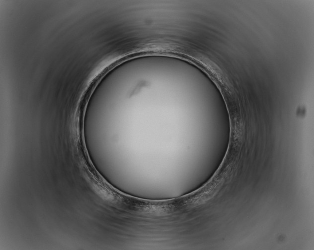 X0000100871078200806201235
